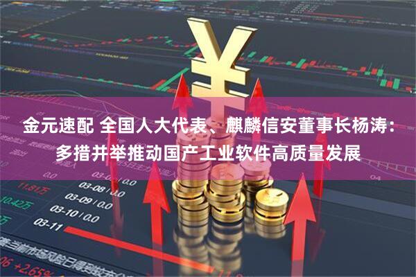 金元速配 全国人大代表、麒麟信安董事长杨涛：多措并举推动国产工业软件高质量发展