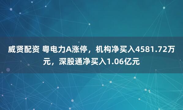 威贤配资 粤电力A涨停，机构净买入4581.72万元，深股通净买入1.06亿元